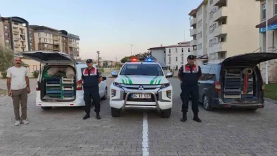 Kaçak kurbağa avcılığına jandarma operasyonu