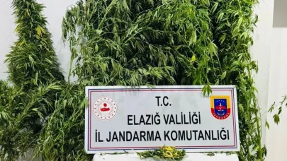 Elazığ’da uyuşturucuyla mücadele