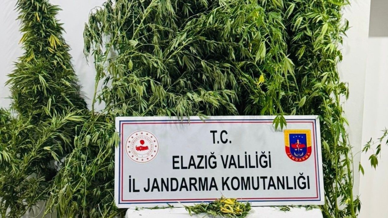 Elazığ’da uyuşturucuyla mücadele