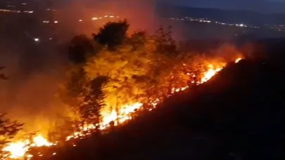 Ardahan'da anız ve fidanlık yangını geceyi aydınlattı