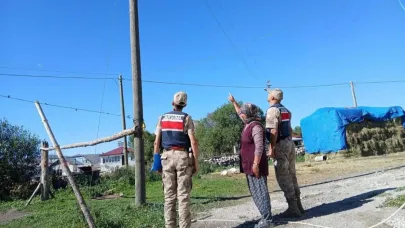 Kamera takılan ahıra hırsız girmez