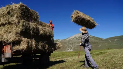 Çiftçinin tarla mesaisi sona erdi
