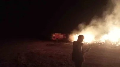 Erzurum’oa ot yangını
