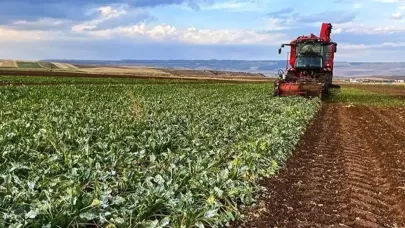 Artık 81 ilde birden zorunlu! Bunu yapmayan devletten destek alamayacak