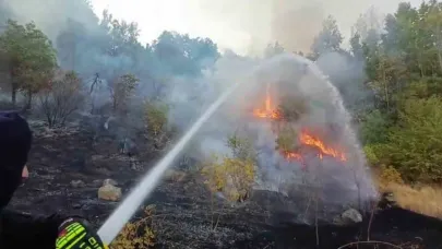 Hakkari’de 3 farklı bölgede çıkan yangın itfaiye ekiplerince söndürüldü