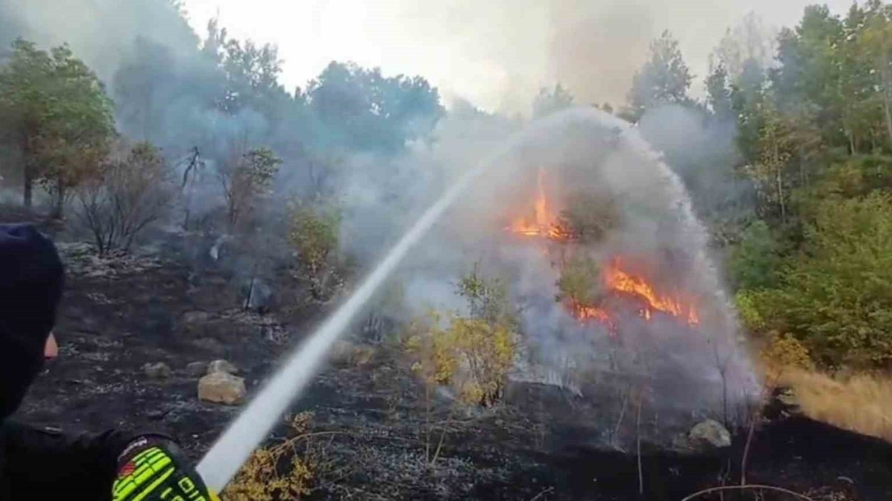 Hakkari’de 3 farklı bölgede çıkan yangın itfaiye ekiplerince söndürüldü