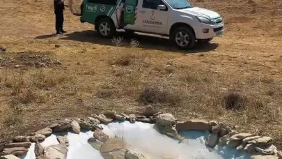 Van jandarmasından yaban hayatına minik su havuzları