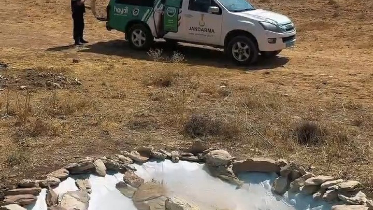 Van jandarmasından yaban hayatına minik su havuzları