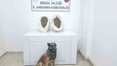 Bingöl’de jandarma ekipleri 10 kiloya yakın esrar ele geçirdi