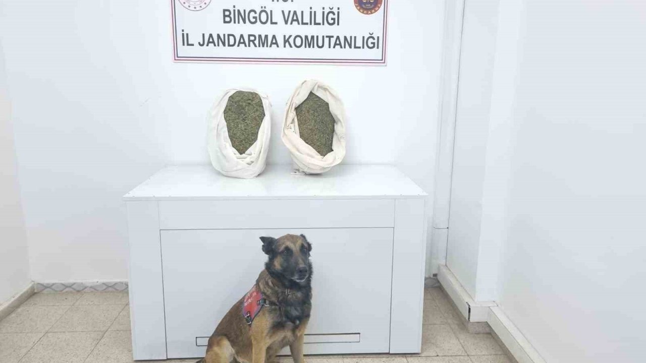 Bingöl’de jandarma ekipleri 10 kiloya yakın esrar ele geçirdi