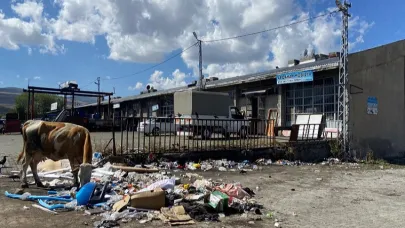 “İnekler başkandan çok memnun”