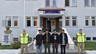 Tatvan’da 4 düzensiz göçmen yakalandı