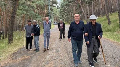 Ulu çınarlar, temiz havanın tadını çıkardı