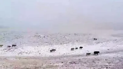 Erzurum’a mevsimin ilk karı yağdı