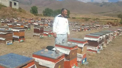 İlçede arıcıların ayı nöbeti