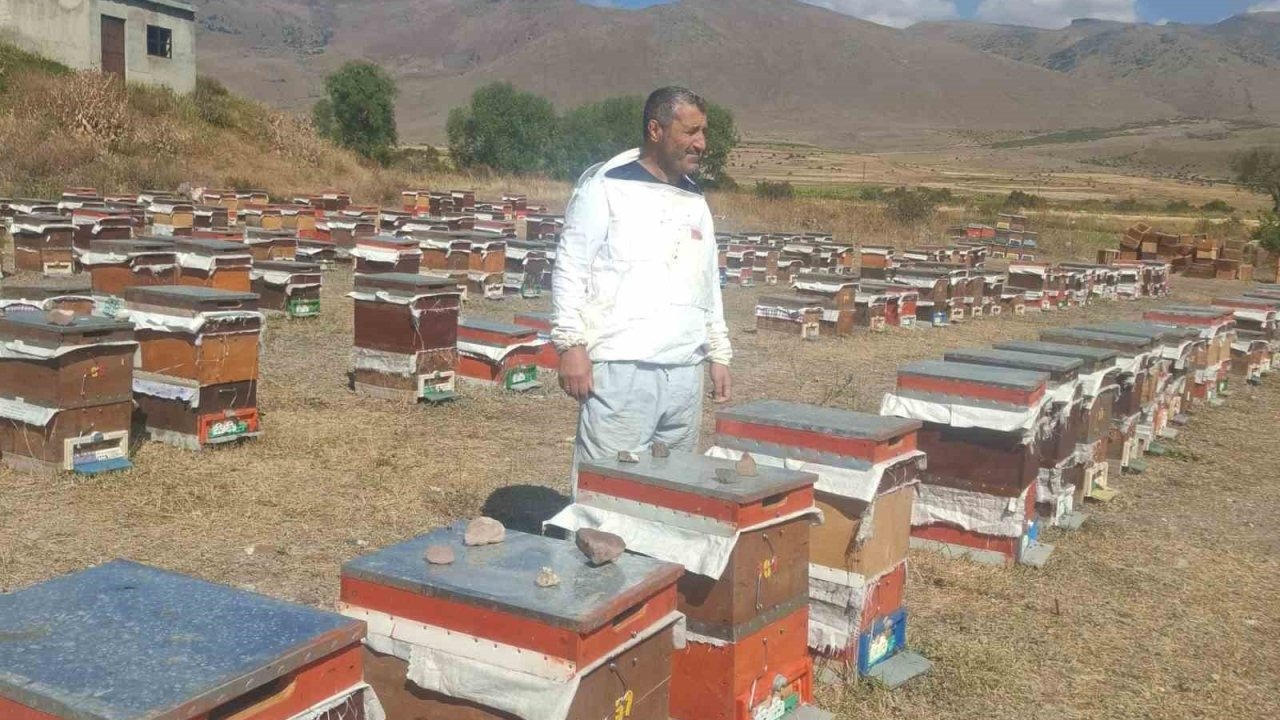 İlçede arıcıların ayı nöbeti