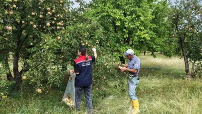 Kağızman’da elma bahçelerinde Pestisit denetimi