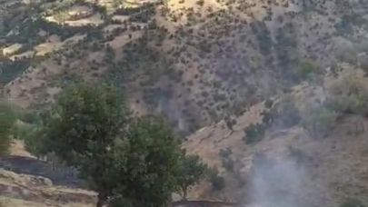 Hizan’da anız yangını