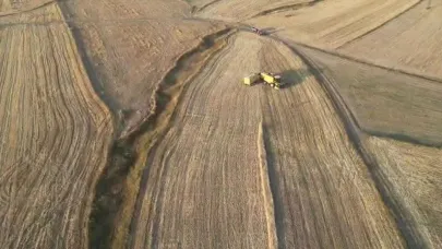Ardahan’da arpa ve buğday hasadı sürüyor