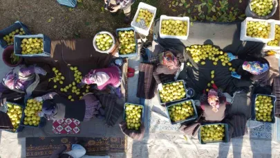 Tarım-ÜFE yıllık yüzde 41,55 arttı