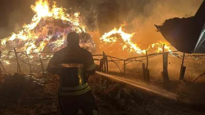 Korkutan yangın; 2 bin 500 balya ot kül oldu