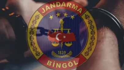 Bingöl’de kesinleşmiş hapis cezası bulunan zanlı yakalandı