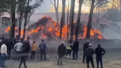 Korkutan ot yangını