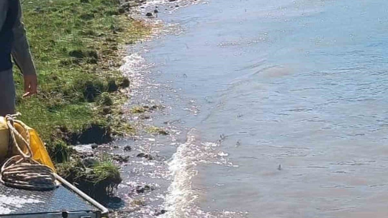 Karakoçan’da göletlere yavru balıklar bırakıldı