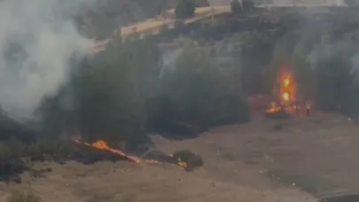Elazığ’da kırsal alan yangını