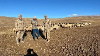 Kaybolan hayvanlar jandarma tarafından bulundu