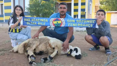 Fenerbahçe’nin makus tarihi değişsin diye, adadıkları hayvanı kestiler