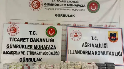 TIR dorsesinde 463 paket kaçak ilaç ele geçirildi