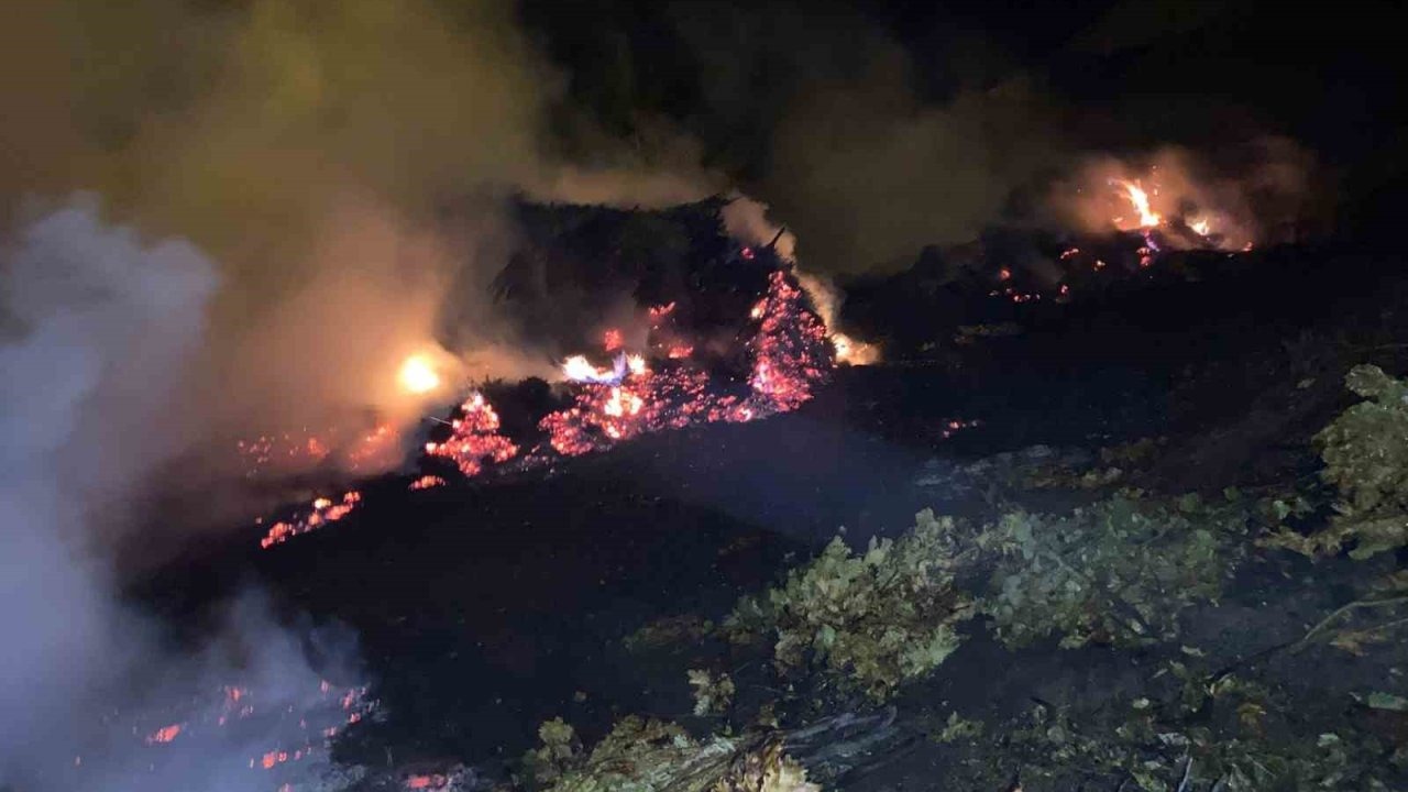 Bitlis’te çıkan yangında ot yığınları kül oldu