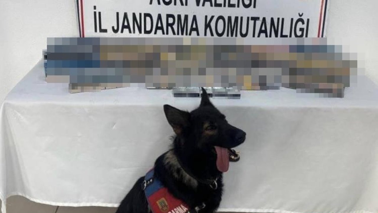 Ağrı’da bin 227 paket gümrük kaçağı sigara ele geçirildi
