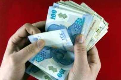 Anaç Sığır ödemeleri bugün yapılıyor