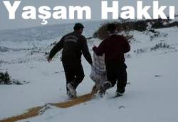 Ardahan'da Yaban hayvanlarına yem bırakıldı