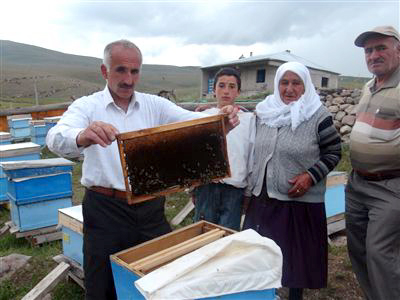 Ardahan'da yağışlar Bal verimini düşürdü!
