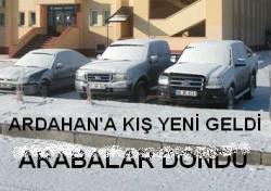 Ardahan'da Hayat Dondu