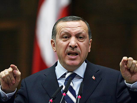 Başbakan Erdoğan basın özgürlüğüne sahip çıktı
