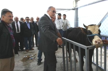 Ensar Öğüt, Kocaeli'nde uyardı!