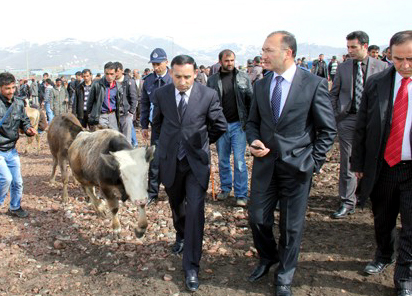 Ardahan'da Hayvan Borsası Kuruluyor!