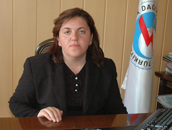 Aras EDAŞ'ın Satışı Onaylandı