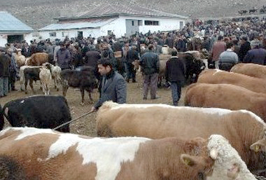 Kurban geliyor, alıcıda satıcıda memnun değil!