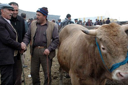 Ardahan'da kurbanlıklar pazara indi