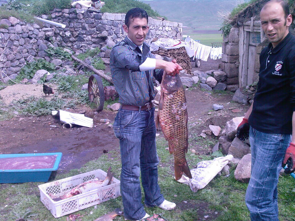 18 kilogramlık  sarı balık şok etti
