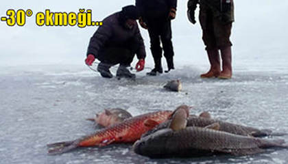 Ardahan'da "Eskimo Usulü" Balık Avı