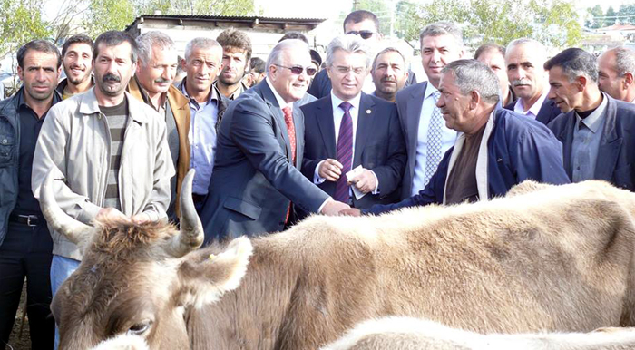 CHP heyetinden Göleye çıkarma