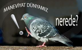 Nifak ve münafık
