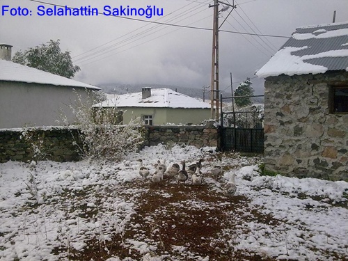 Göle beyaza büründü