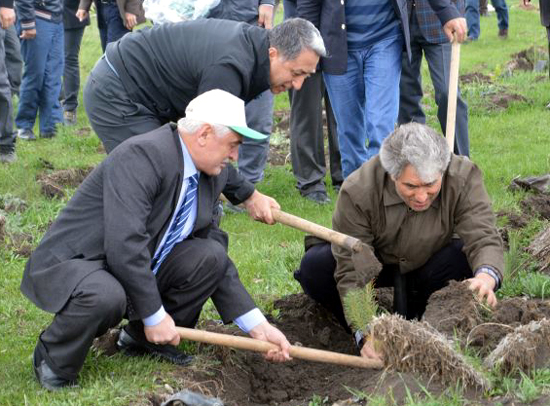 Dikilen her fidan  gelecektir...